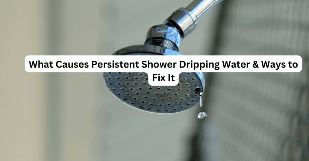 What Causes Persistent Shower Dripping Water & Ways to Fix It